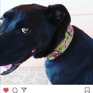 Meet your Posher, Inniss